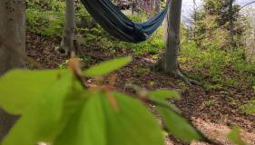 Przystanek Bystra - Foto 4