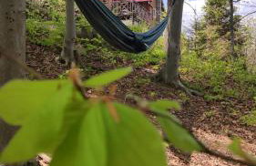 Przystanek Bystra - Foto 4