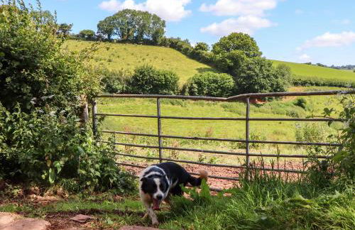 Twyford Farm Cottage - Foto 46