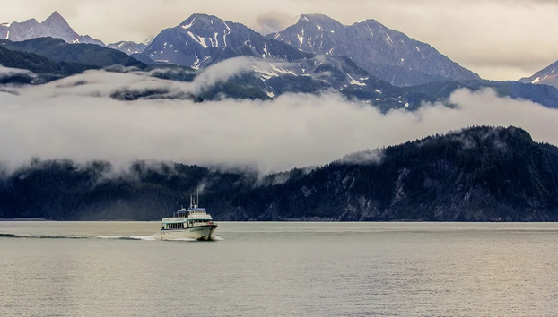 Captain's Choice National Park Tour - Foto 2