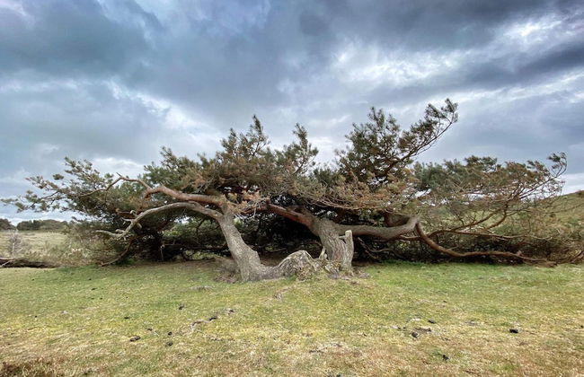 Luxury Retreat With Pool - By Traum Ferienwohnungen - Foto 12