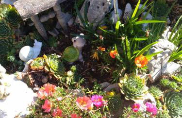 Holiday Home Rubinić - Foto 6