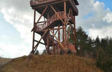 Leśniczówka Wigierskiego Parku Narodowego w Maćkowej Rudzie - Foto 40