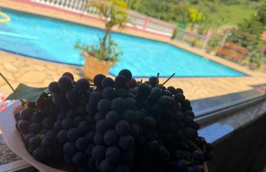 Sítio Bela Vista - Photo 40