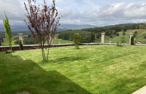 El Cabezuelo - Foto 29