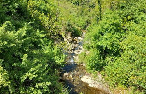 Casa Lina, Vallombrosa, wifi, private area - Foto 7