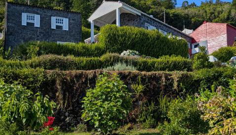 Casas do Horizonte - Photo 2, Garden