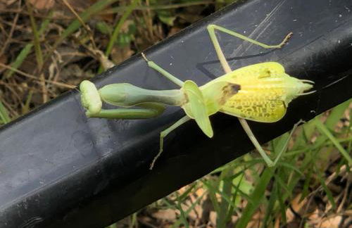 Fishers Of Men Ranch Home - Photo 45