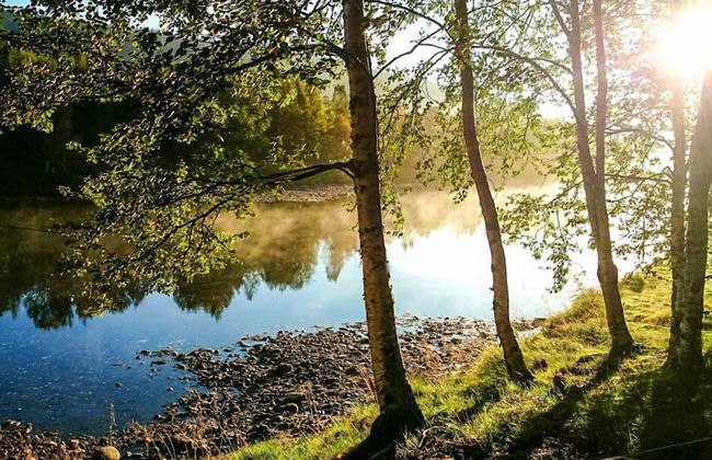 Furuheim Gard - Foto 33