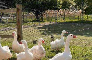 Barn Cottage - Foto 57