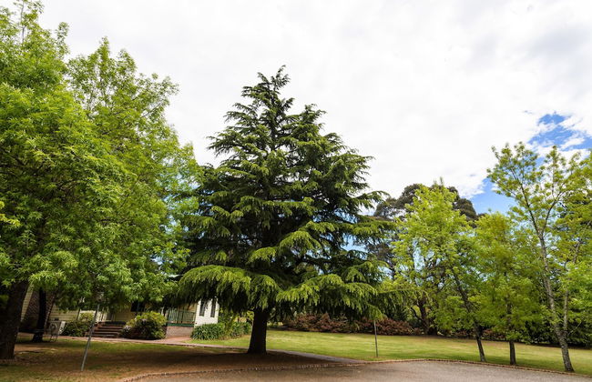 Federation Gardens & Possums Hideaway - Foto 41