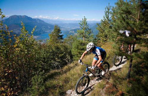 Apartment Harmony - Ischia - Lago di Caldonazzo - Foto 15