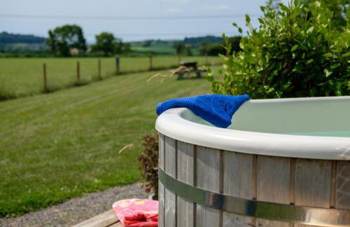 The Acorn - Luxury Shepherds Hut hot tub panoramic views - Foto 16