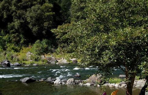 Charming Cottage Rental with Fabulous Views of the Trinity River in Northern California - Foto 38