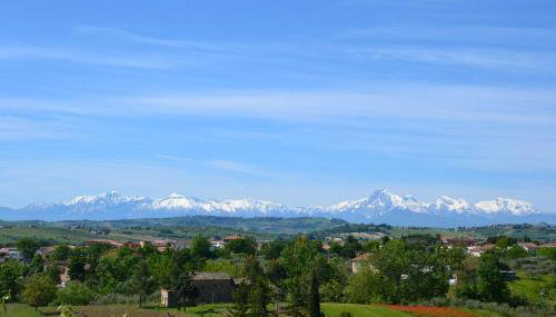 Agriturismo "Gli Olmi" - Foto 5