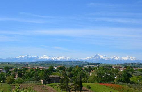 Agriturismo "Gli Olmi" - Foto 5