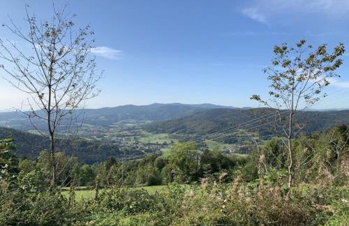 Ferienland Sonnenwald Fewo 46 und Studio 50 in Schöfweg Bayerischer Wald - Foto 53