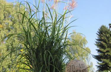 Haus Alpaka - Foto 13