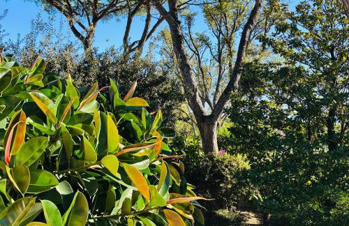 Charming Posillipo Sea View Ibiscus House - Foto 8