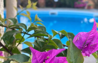 Eirini's ART HOUSE - Foto 1