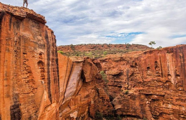Kings Canyon and Outback Panoramas - Full-Day Small GroupTour - Foto 6