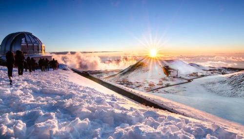 Sea Turtle Life - Foto 3