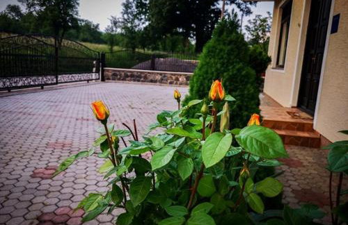 Gacka-Beautiful Place in Nature - Foto 7