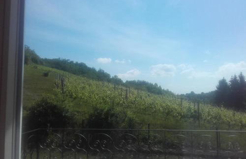 Dom w Zielonej Dolinie - Foto 14