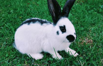 Agroturystyka u Chlebków - Photo 2