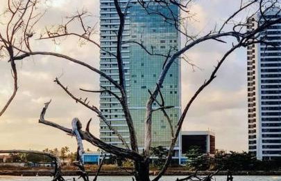 Vivance Paiva - Foto 1