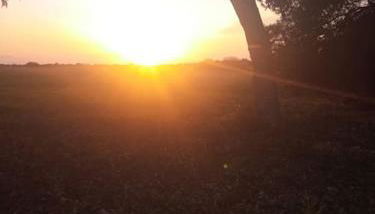 La Casetta di Greta - Foto 5