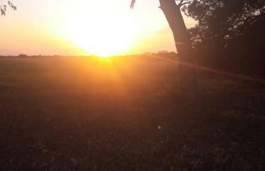 La Casetta di Greta - Foto 5