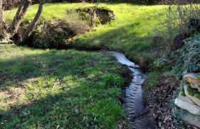 La Hacienda De Navafria - Foto 11