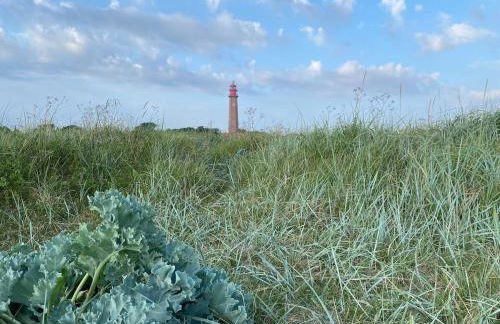 Haus mit Meerblick & Garten - Foto 11