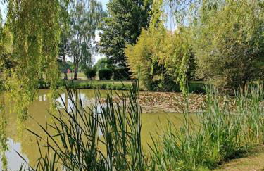 Les Roseaux Comme à la maison prés des châteaux de la Loire - Foto 6