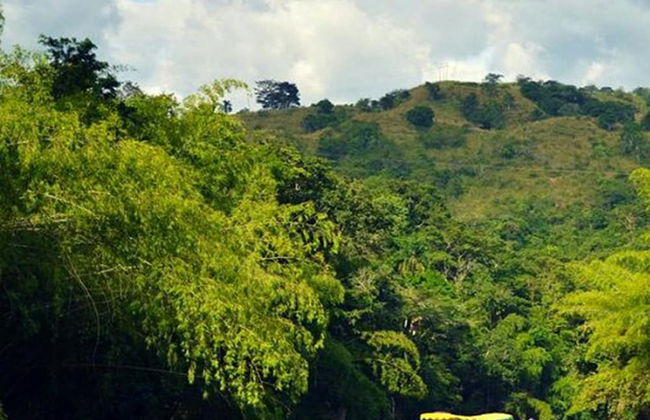 Apartahotel Jeronimos - Foto 47