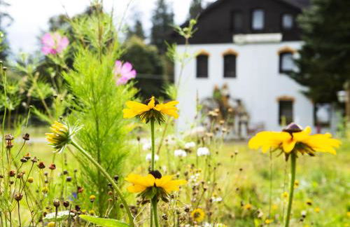 Ferienwohnung im Erzgebirge - Foto 38