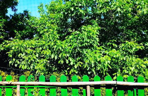 CHALET IL GELSOMINO DELL'ETNA - Foto 46