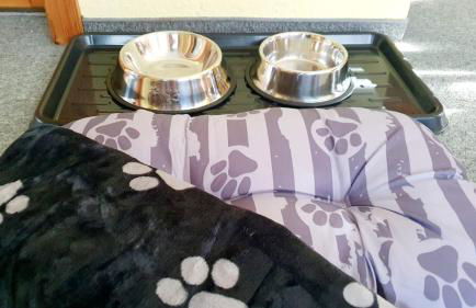 Blütenhaus im Rhododendronpark 5 min zum See - Foto 9