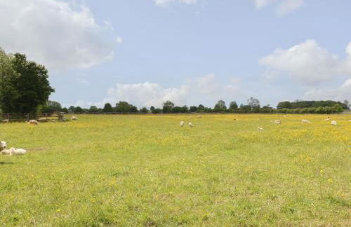 Flagstone Cottage - Photo 13