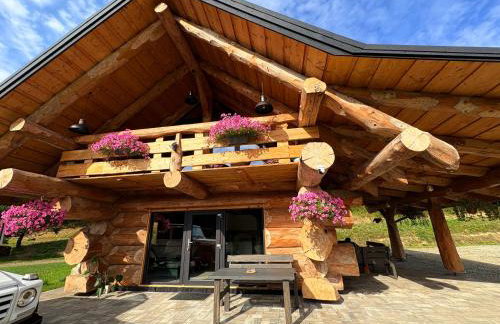 Chaty u Ramzesa nowe domy z bala - Foto 1