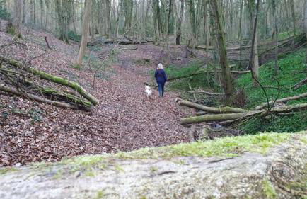 Stylish Town Centre Apartments - Foto 64