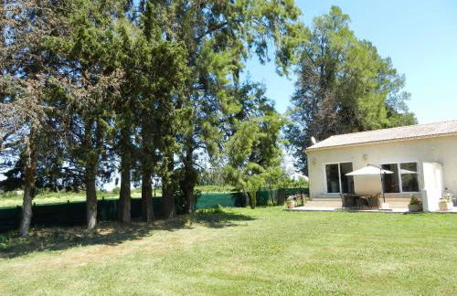 Monica di Sorbo - Foto 10