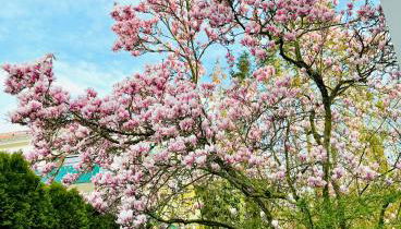 Ferienwohnung an den Weinbergen - Foto 2