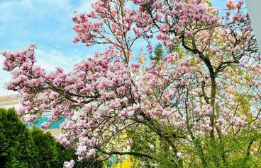 Ferienwohnung an den Weinbergen - Foto 2
