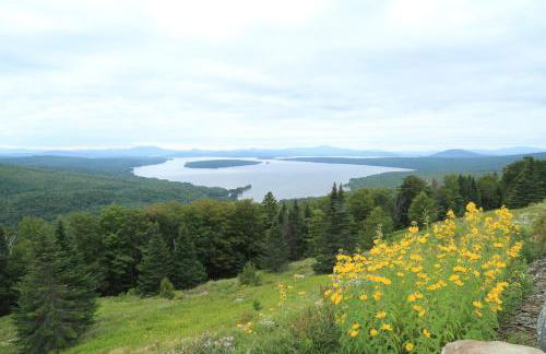 Sunnyside home near Sunday River, Black Mountain, Lakes and Hikes - Foto 28