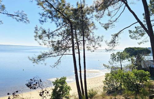 Villa spacieuse avec piscine chauffée, jardin et terrasse à Petit-Piquey - FR-1-736-9 - Photo 6