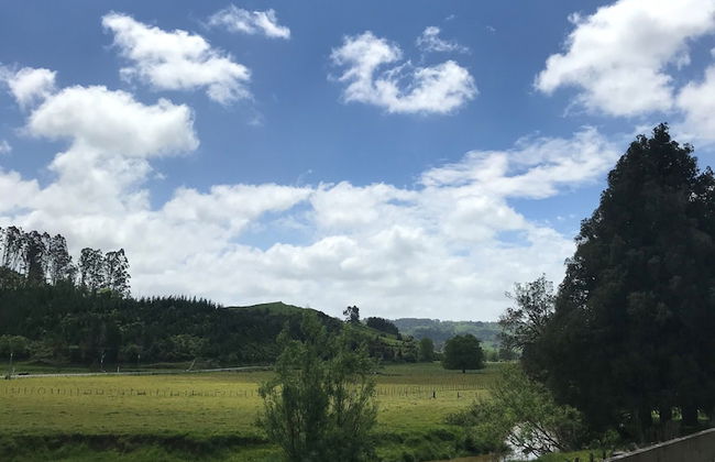 Woodlyn Park - Foto 69