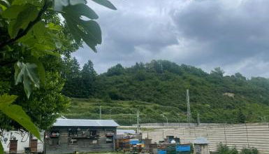 Ferienwohnung am Rhein - Foto 3