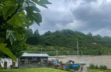 Ferienwohnung am Rhein - Foto 3